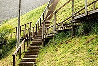 Eine hölzerne Treppe führt einen grasbewachsenen Hügel hinauf. Das Gelände ist sanft geneigt, und ein Geländer begleitet die Treppe. Der Himmel ist nicht sichtbar, was die Aufmerksamkeit auf den Weg lenkt.