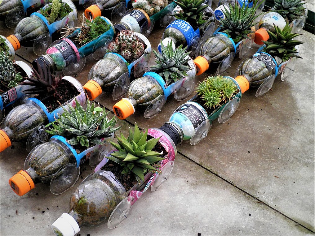 Reihe von recycelten Plastikflaschen, die als Pflanzgefäße verwendet werden. Jede Flasche ist mit Erde gefüllt und enthält verschiedene kleine Pflanzen oder Sukkulenten. Die Szene zeigt eine kreative und nachhaltige Methode, Abfall zu minimieren und gleichzeitig Grünflächen zu schaffen.