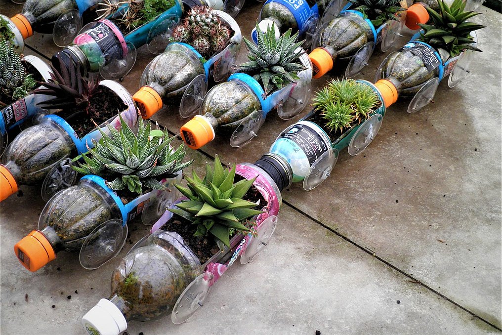 Reihe von recycelten Plastikflaschen, die als Pflanzgefäße verwendet werden. Jede Flasche ist mit Erde gefüllt und enthält verschiedene kleine Pflanzen oder Sukkulenten. Die Szene zeigt eine kreative und nachhaltige Methode, Abfall zu minimieren und gleichzeitig Grünflächen zu schaffen.