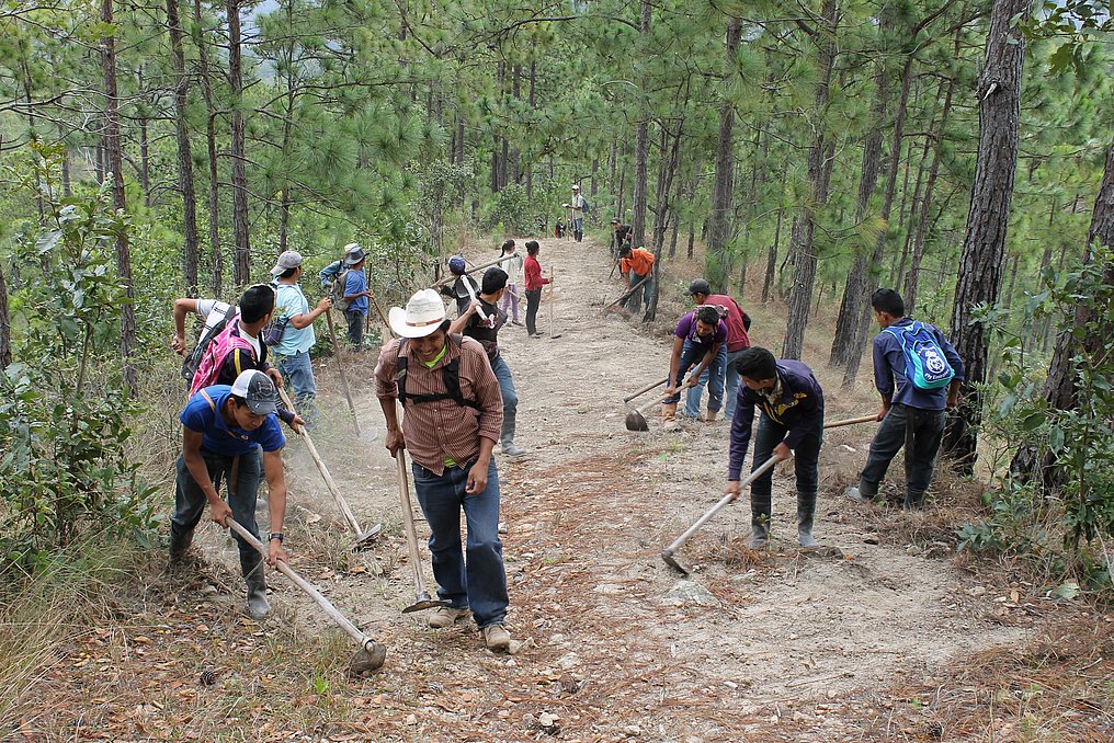 Mitglieder von kommunalen Wasserverbänden in Honduras legen eine Brandschneise im Nationalpark Celaque an.