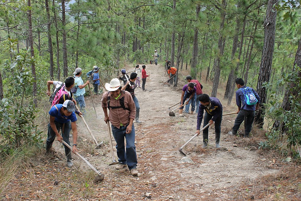 Mitglieder von kommunalen Wasserverbänden in Honduras legen eine Brandschneise im Nationalpark Celaque an.